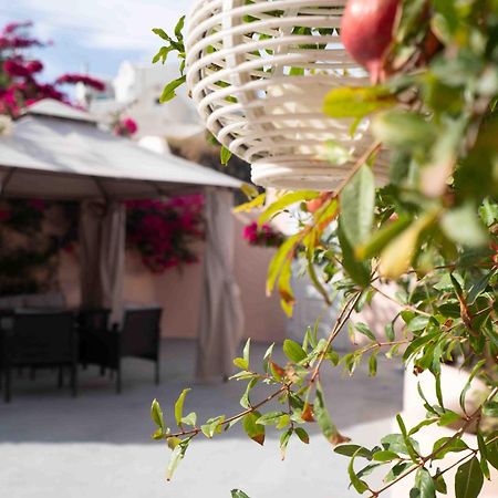 Bird Nest-Santorini Cave Houses 산토리니 외부 사진