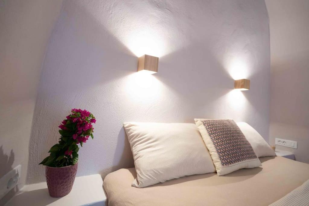 Bird Nest-Santorini Cave Houses 산토리니 외부 사진