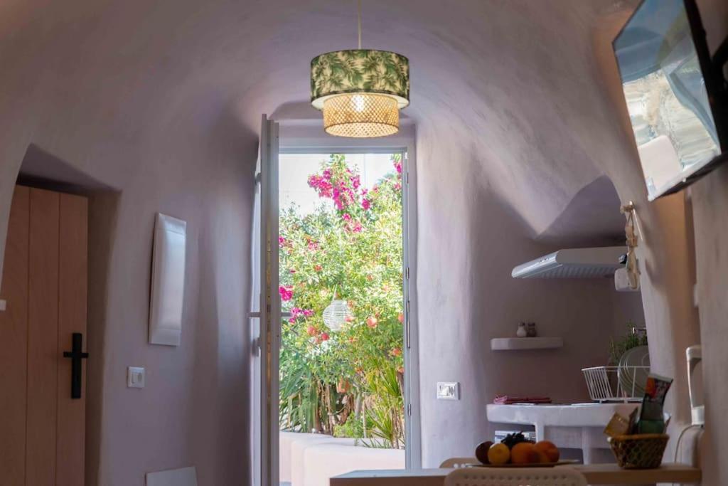 Bird Nest-Santorini Cave Houses 산토리니 외부 사진