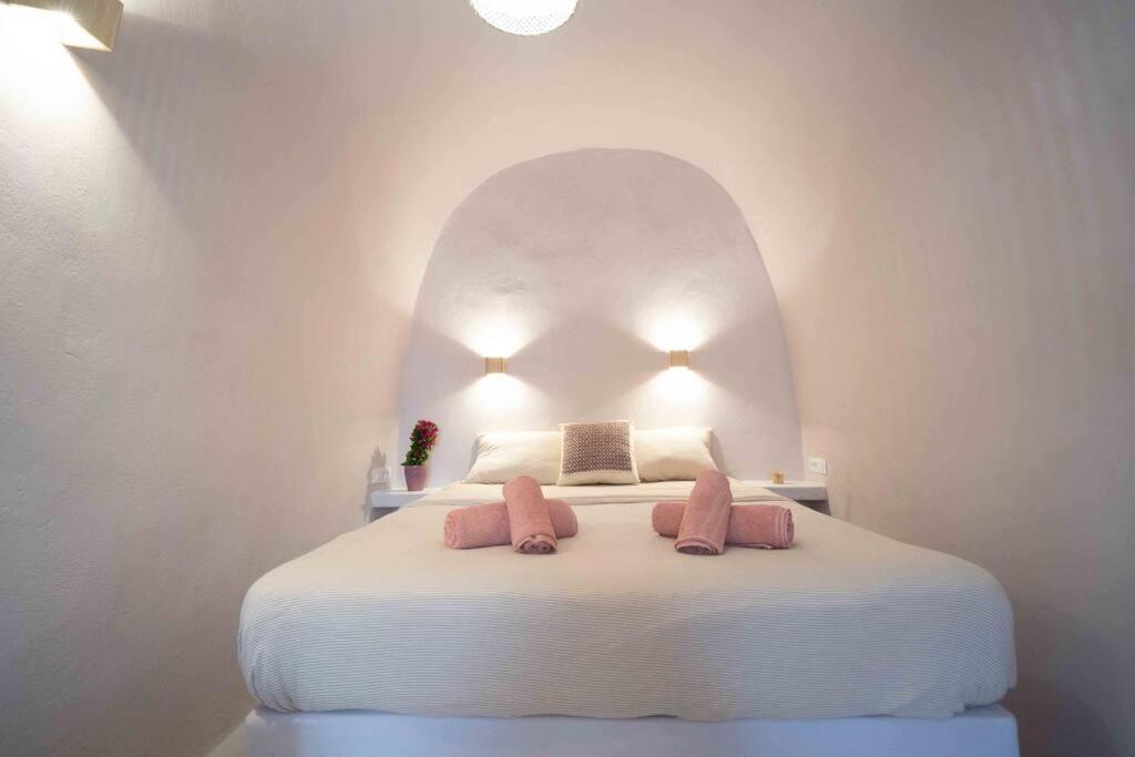 Bird Nest-Santorini Cave Houses 산토리니 외부 사진